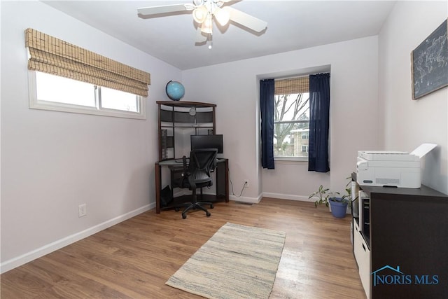 home office with ceiling fan and light hardwood / wood-style flooring