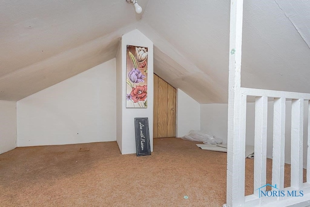 bonus room with light colored carpet and vaulted ceiling