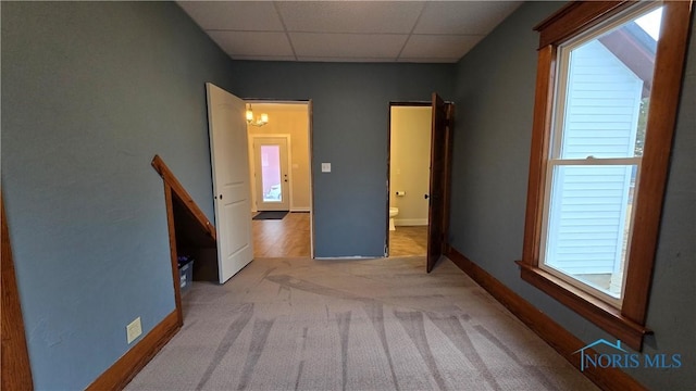 interior space featuring a paneled ceiling, a healthy amount of sunlight, and light carpet