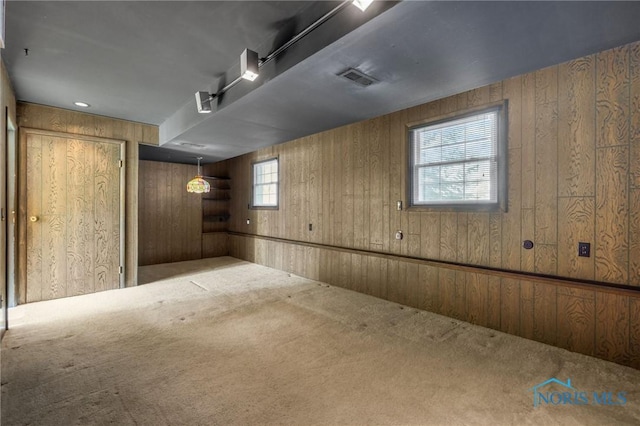 basement with carpet and wood walls