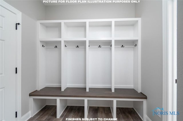 mudroom featuring dark hardwood / wood-style flooring