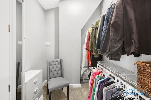 spacious closet featuring carpet flooring