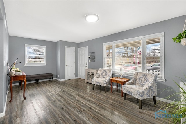 sitting room featuring dark hardwood / wood-style floors