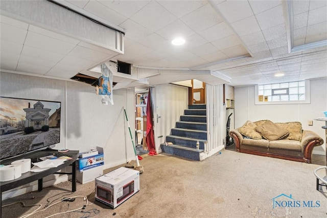 basement featuring carpet flooring