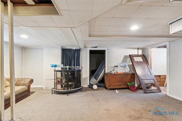 basement with carpet