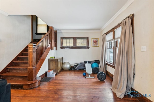 exercise room featuring a healthy amount of sunlight, wood-type flooring, and ornamental molding