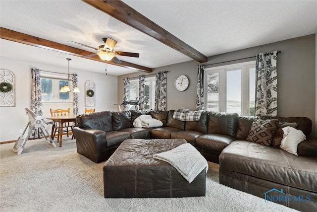 living room featuring carpet floors, ceiling fan with notable chandelier, and a textured ceiling