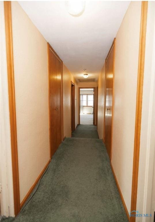 corridor with dark carpet and wooden walls