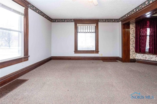 unfurnished room with carpet floors and a textured ceiling