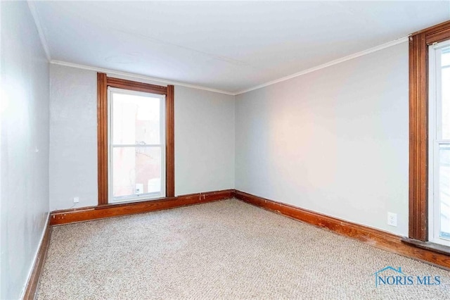 carpeted empty room with crown molding