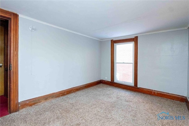 unfurnished room with crown molding and carpet flooring