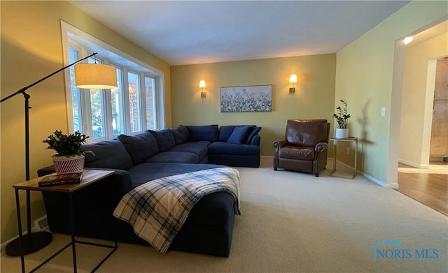 living room featuring carpet