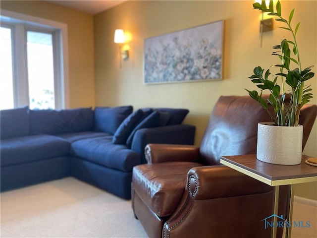 view of carpeted living room