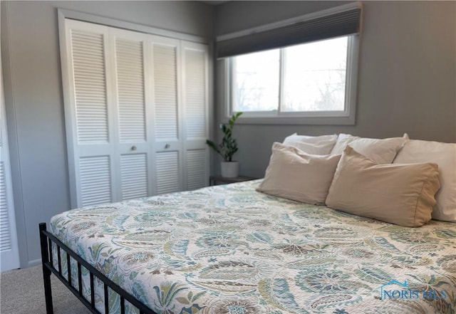 bedroom featuring carpet flooring and a closet