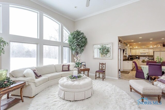 living room featuring ornamental molding and a towering ceiling