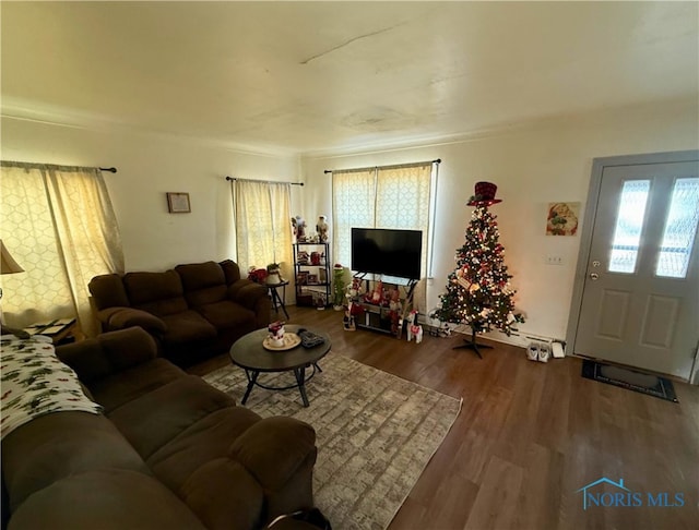 living room featuring hardwood / wood-style floors