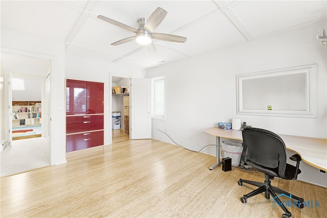 office featuring ceiling fan and wood-type flooring