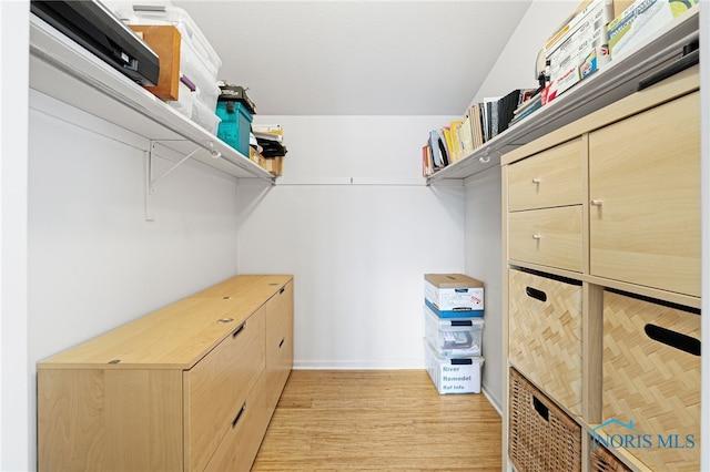 spacious closet featuring light hardwood / wood-style flooring