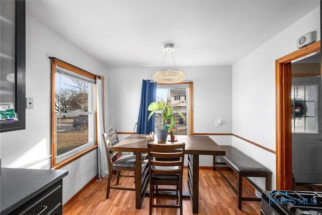 dining space featuring light hardwood / wood-style floors