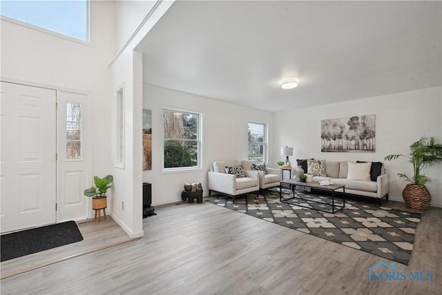 living room with light hardwood / wood-style flooring