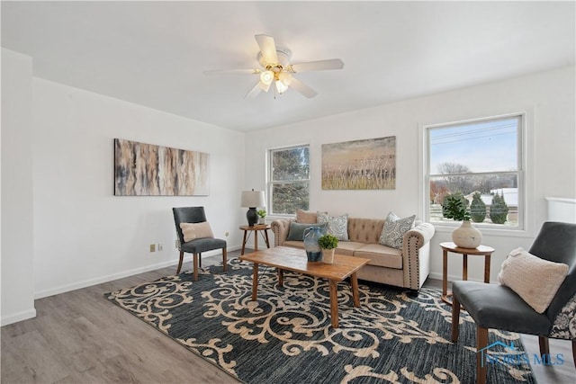 living room with ceiling fan and wood-type flooring