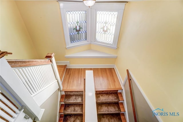 stairs with hardwood / wood-style floors