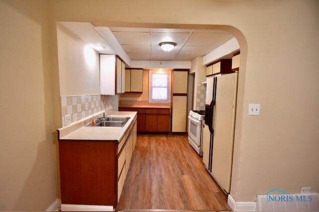 kitchen featuring white appliances, a paneled ceiling, light hardwood / wood-style floors, sink, and backsplash