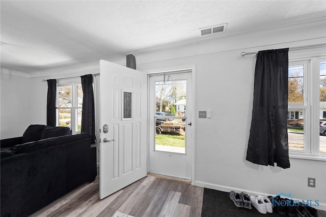 foyer entrance with a wealth of natural light, hardwood / wood-style floors, and a textured ceiling