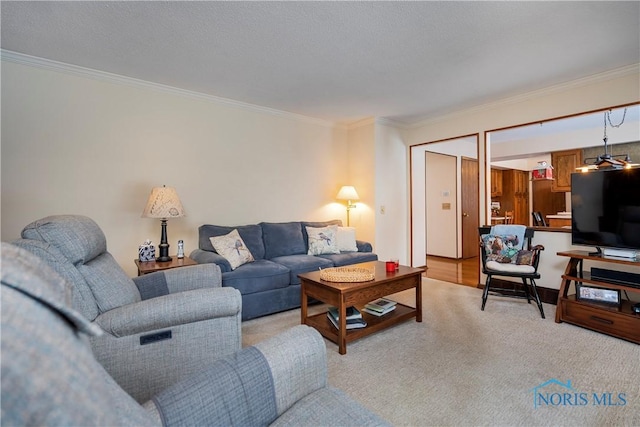 living room featuring crown molding and a textured ceiling