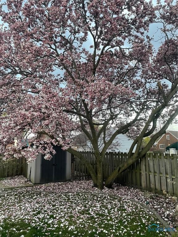 view of yard with a storage shed