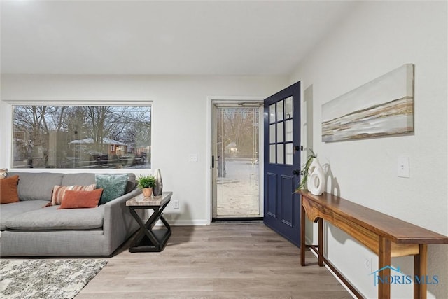 entrance foyer featuring light wood-type flooring