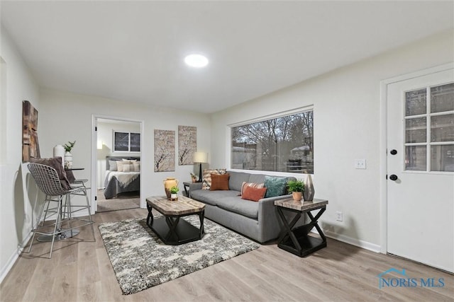 living room featuring light hardwood / wood-style floors