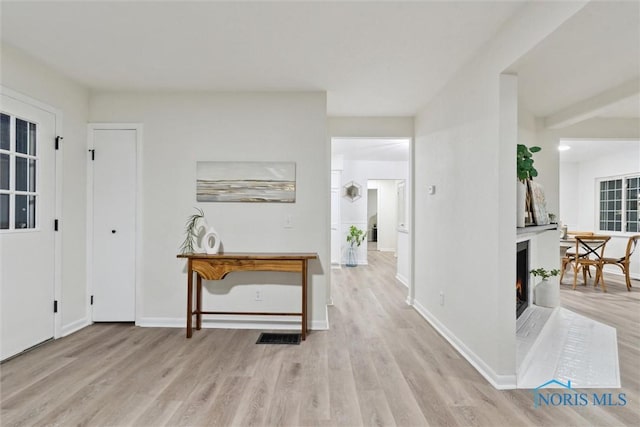 foyer with light hardwood / wood-style flooring