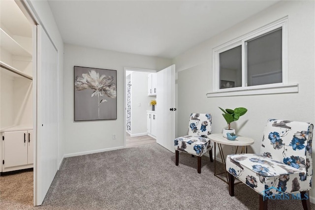 sitting room featuring carpet flooring