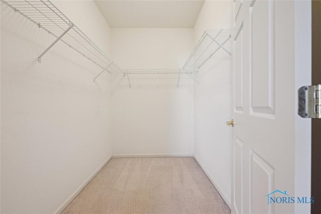 spacious closet with light colored carpet