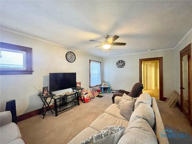 living room with ceiling fan, ornamental molding, and carpet floors