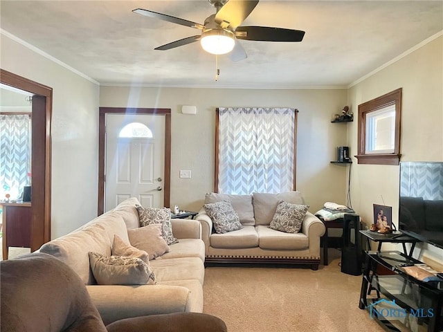 carpeted living room with crown molding and ceiling fan