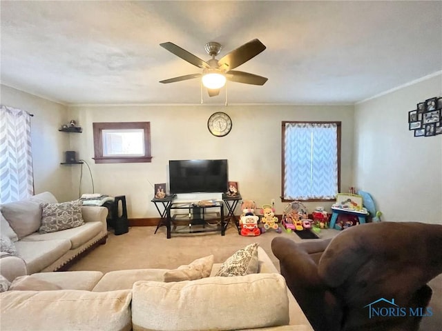 carpeted living room with ornamental molding and ceiling fan