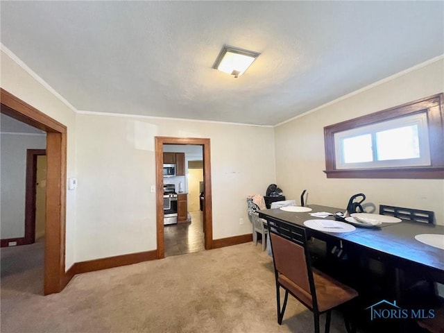 carpeted office space featuring crown molding