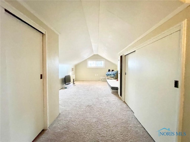 additional living space with light colored carpet and lofted ceiling