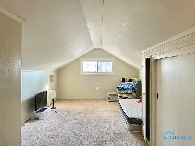 bedroom with lofted ceiling and carpet flooring