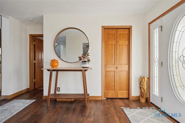 foyer featuring dark wood-type flooring