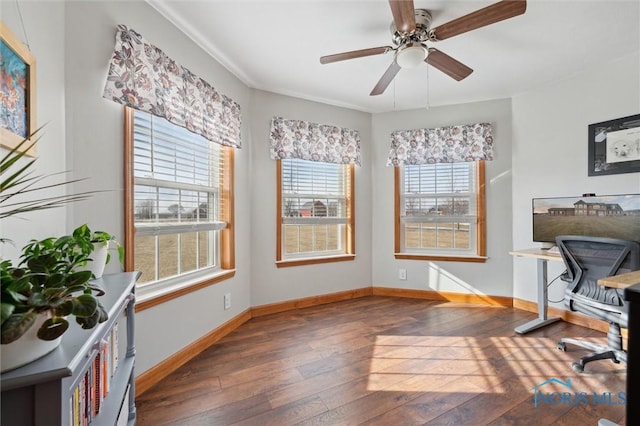 office with dark hardwood / wood-style flooring and ceiling fan