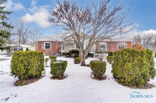 view of snowy yard