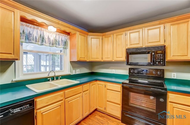 kitchen featuring sink, light hardwood / wood-style flooring, and black appliances