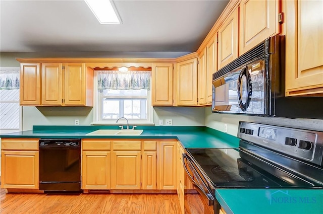 kitchen featuring sink, black appliances, and light hardwood / wood-style floors