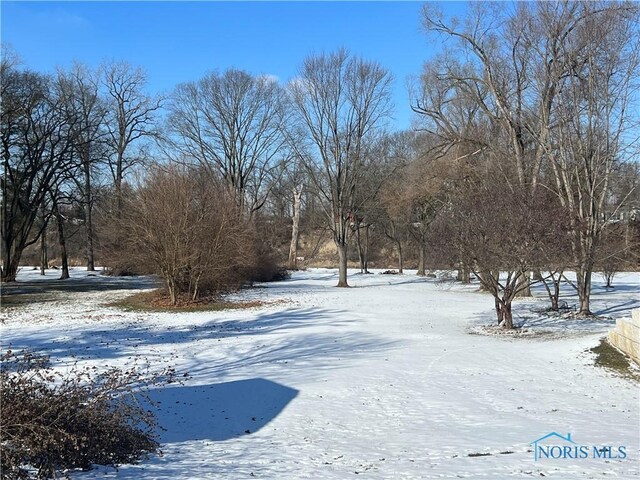 view of yard layered in snow