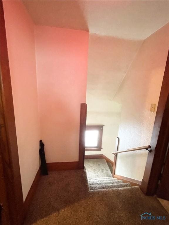 stairway featuring vaulted ceiling and carpet