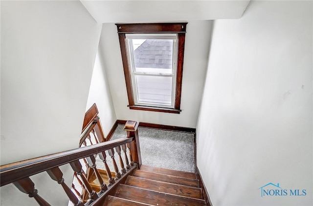 stairs featuring carpet