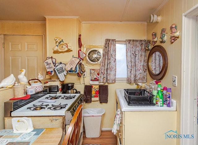 kitchen featuring light countertops, visible vents, ornamental molding, a sink, and wood finished floors